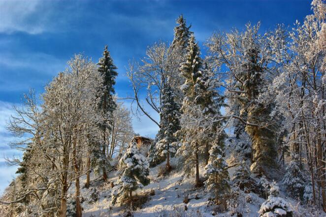 Winterlandschaft Mühlbach