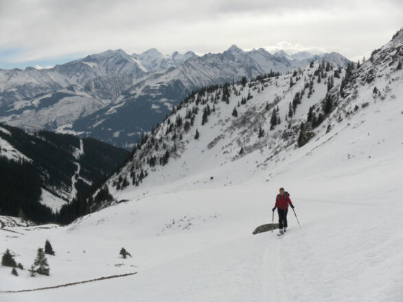 oberhalb der Bachrainalm