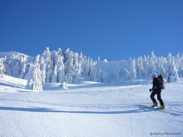 kurz unter dem Gipfelkamm