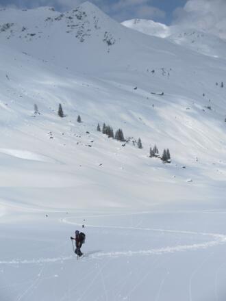 Schusterkogel im Hintergrund