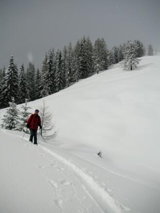 Umgehung des Schwarzeneggs