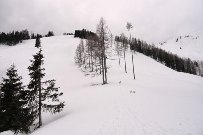 Nach Verlassen des Waldes auf einer Höhe von 1.500 m