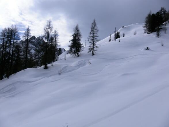 Hänge des Herrenköpfls