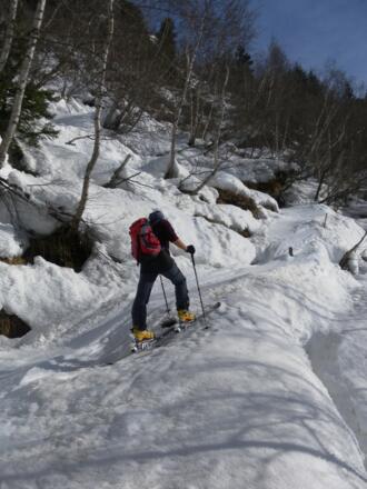 Hohlweg durch den Steilwald