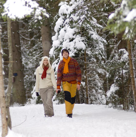 Schöne Winterlandschaft