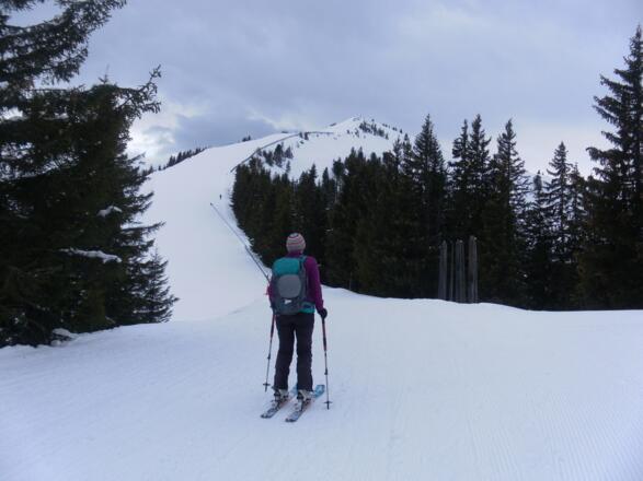 Anstieg zum Salersbachköpfl