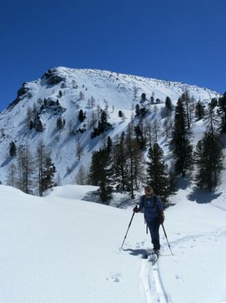 in der Senke westlich der Arche