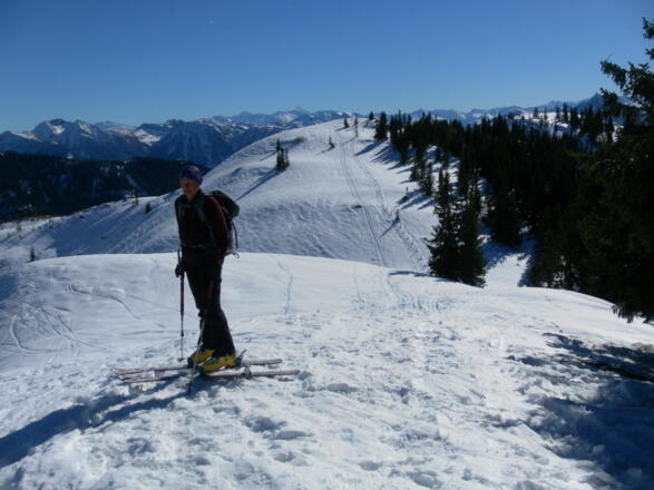 Ahornstein vom Kollmannsegg