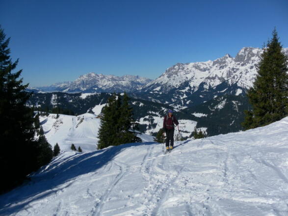 Rückblick Wastlhöhe, dahinter Leoganger Steinberge und Steinernes Meer