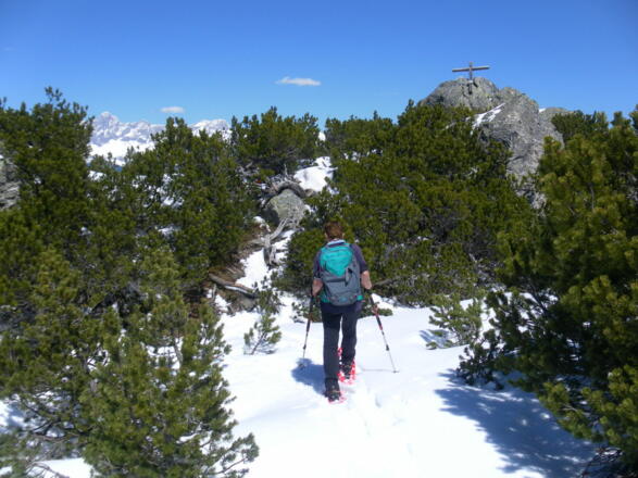 Latschengasse zum Felsgipfel