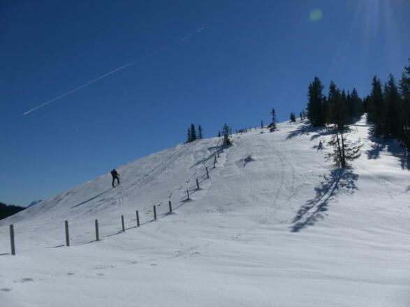 NW-Rücken und Gipfelanstieg des Kollmannsegg