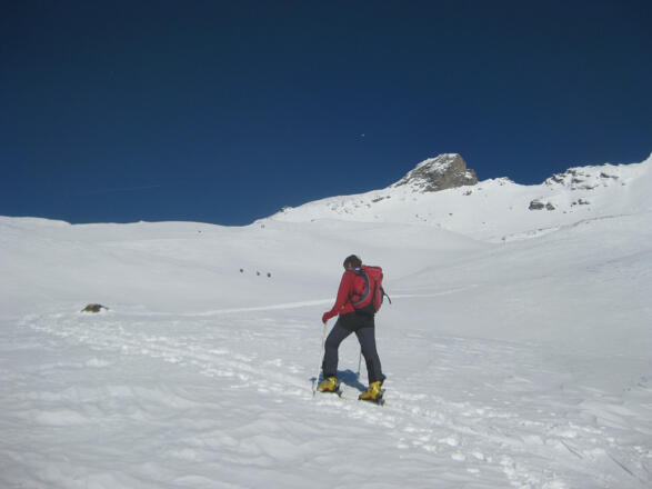 Innergschlöß-Ochsenalm mit Roter Saile
