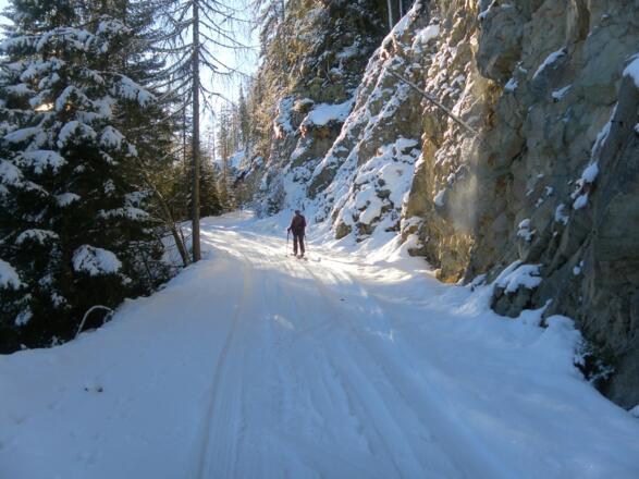 Felsflanke am Rohrstein