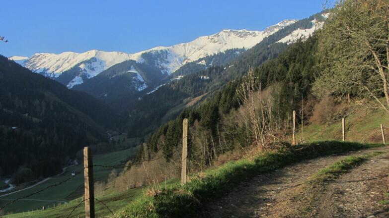 Ende April am besten dem Sommerweg folgen