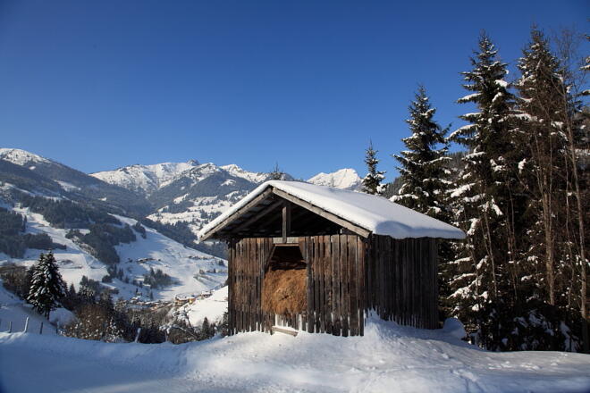 Heustadl am Weg zum Bauernhof Finsterwald