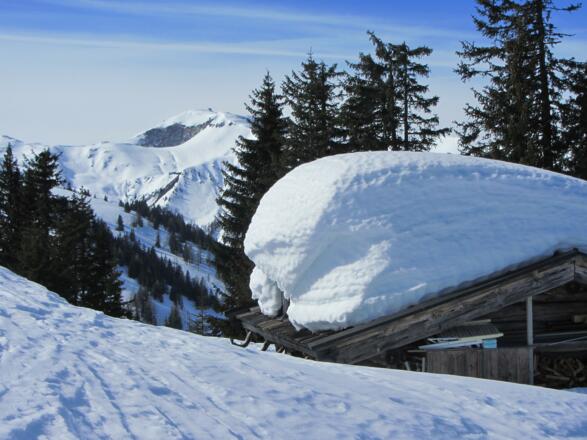 Das Ziel, der Hundstein, bereits in Sicht