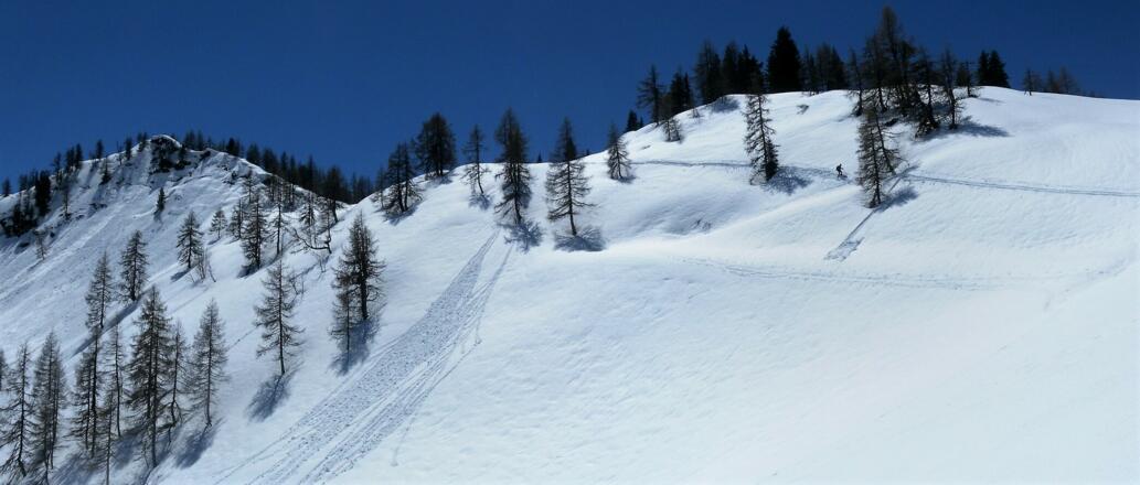 Hirschköpfl aus der Senke zum Rosskopf