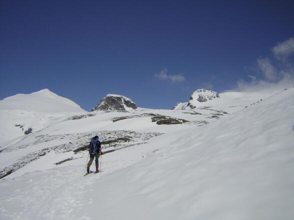südl. Bockkarkees vom Wasserfallwinkel: Johannisberg, Mittlerer und Hoher Burgstall