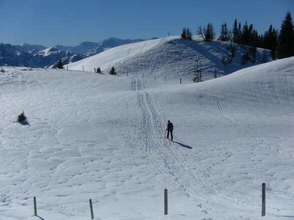 am Weg zum Ahornstein