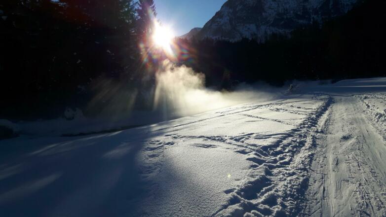 dann geht es weiter dem Marbach entlang auf der Forststrasse