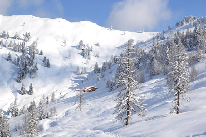 Loosbühelalm im Winter