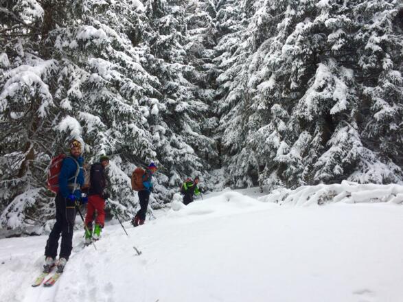 nur kurze Abschnitte führen durch den Wald