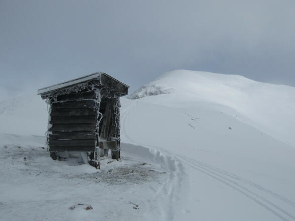 über den breiten Rücken geht man die letzten Meter auf die Schwalbenwand