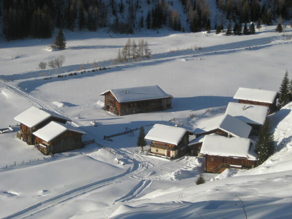 über der Wohlgemuthalm