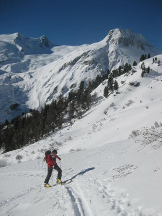 knapp über dem Ochsenwald