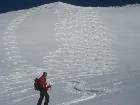 freier Westhang - Gschlößkees