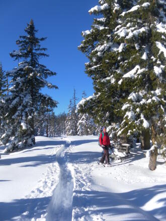 Zwischengipfel Hoferegg