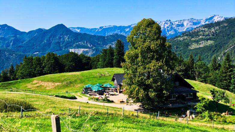Hoisnrad Alm mit wunderschöner Aussicht auf den Wolfgangsee