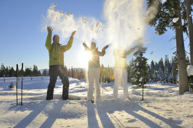 Höhenwanderweg Rossbrand - kleine Runde