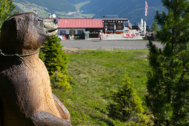 Bubis Ski- und Almhütte