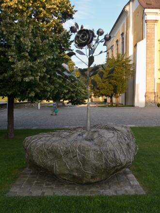 Europäische Friedensrose Waldhausen