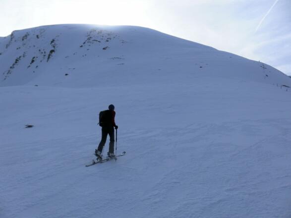 Gipfelkuppe des Seekopfs