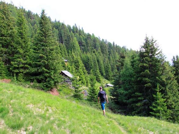 Wandern in Niederthai 