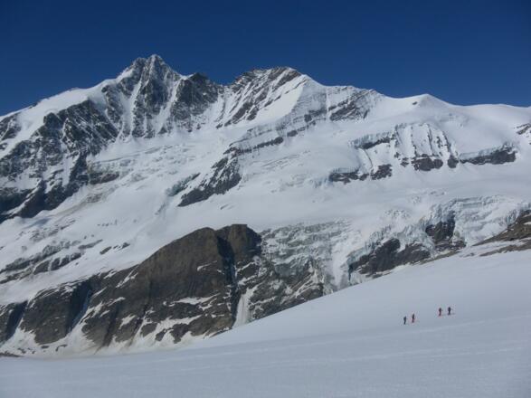 Großglockner aus dem Südlichen Bockkarkees