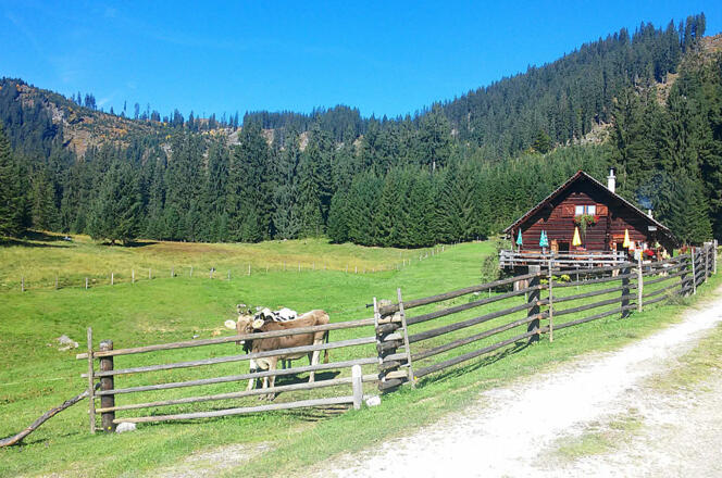 Kurz vor der Iglmoosalm