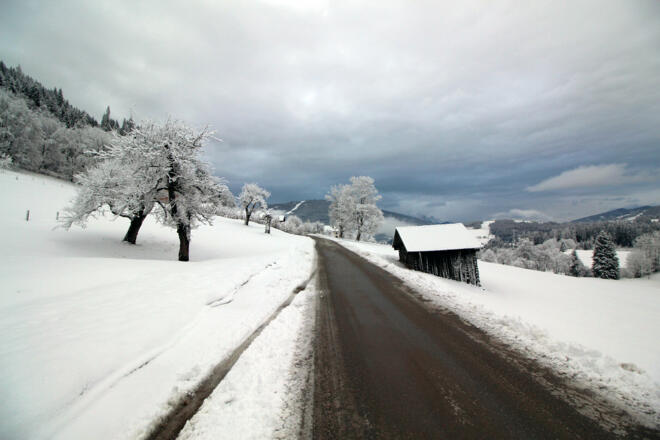 Weg zum Schloss Höch