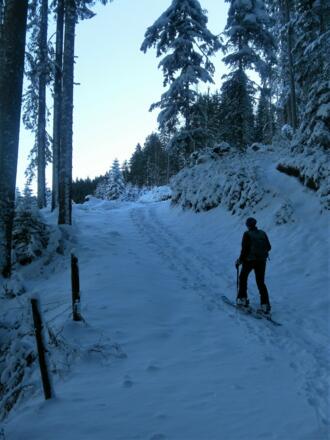 Wanderweg zur Moosalm