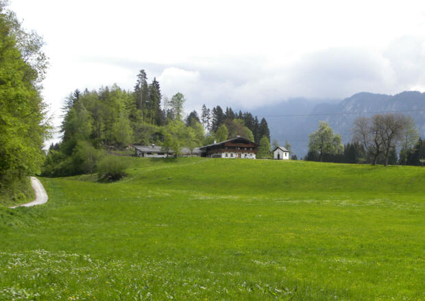 Bauernhof &quot;Gut Aigen&quot;    