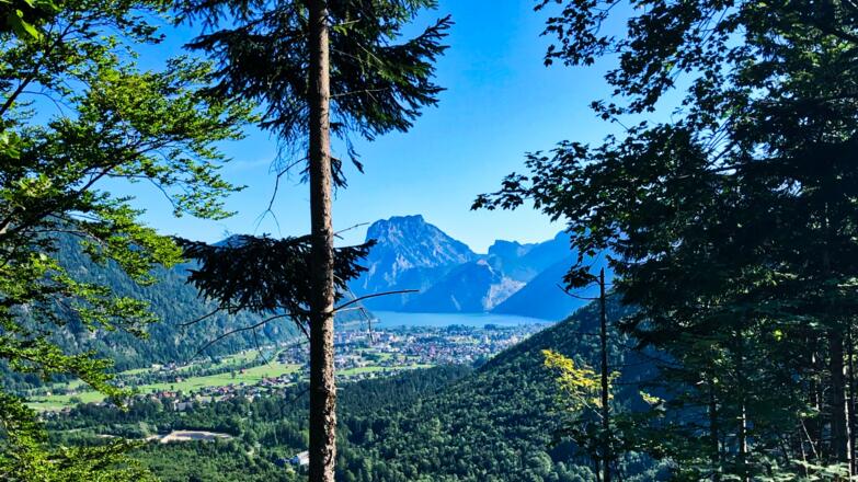 Blick auf den Traunstein und Ebensee