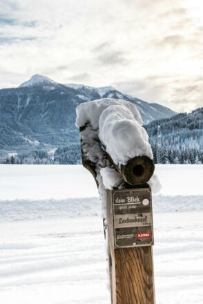 Blick zum Lackenkogel