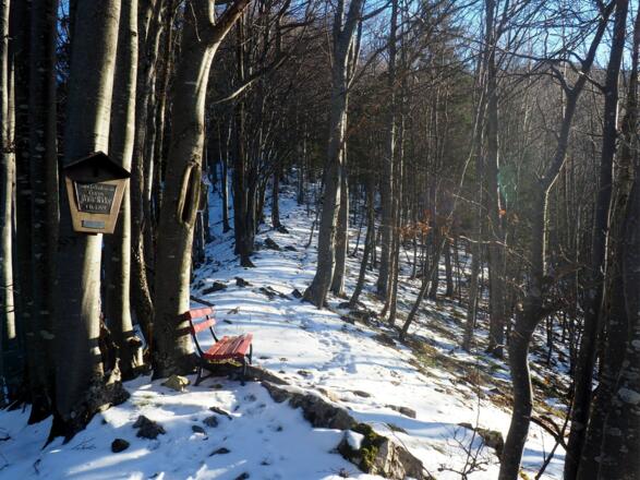 Gedenkmarterl und Bankerl um 877m