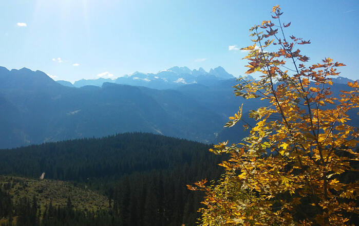 Blick Richtung Dachstein