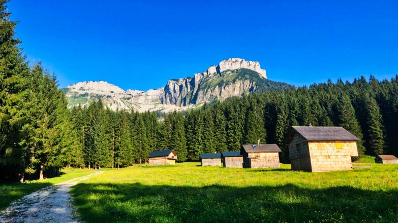 Blaa Alm mit Loser im Hintergrund