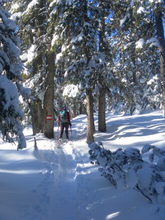 am Wanderweg zum Roßbrand