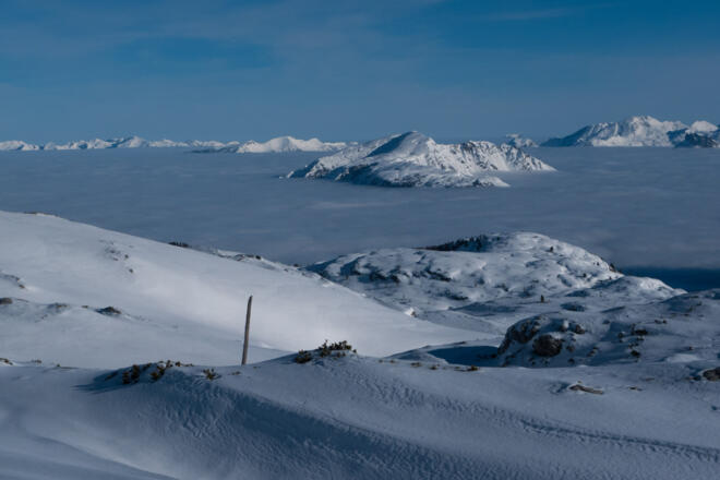 Blick zurück ins Alpenvorland