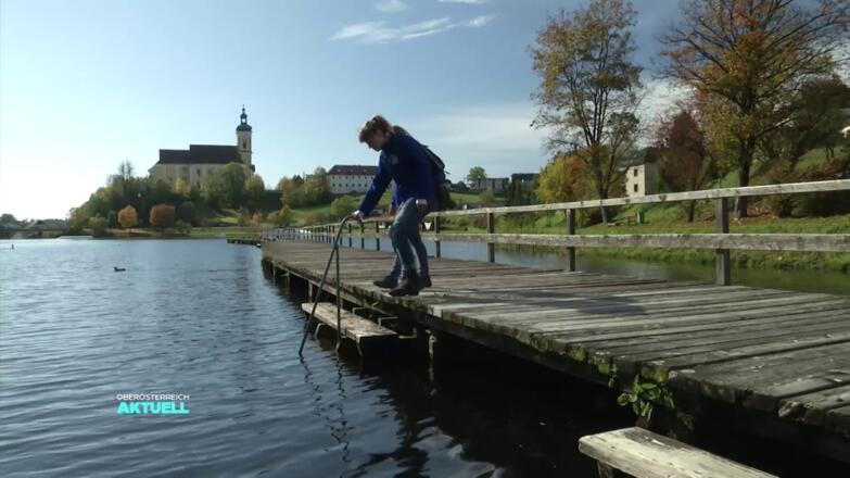 Donausteig Wandertipp: Waldhausener Ausblicksrunde